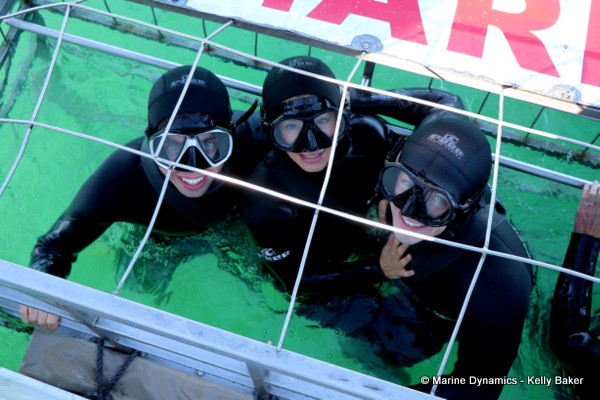 shark cage diving, South Africa